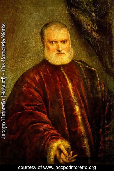 Jacopo Tintoretto (Robusti) - Portrait of Procurator Antonio Cappello