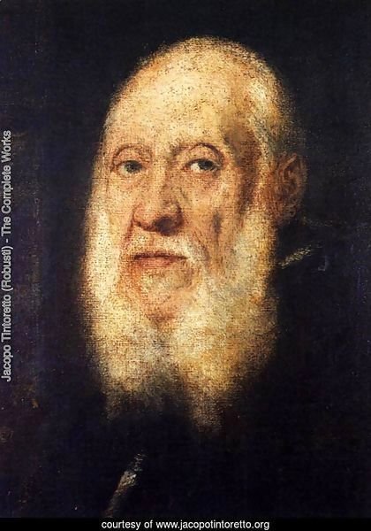 Portrait of Jacopo Sansovino 3