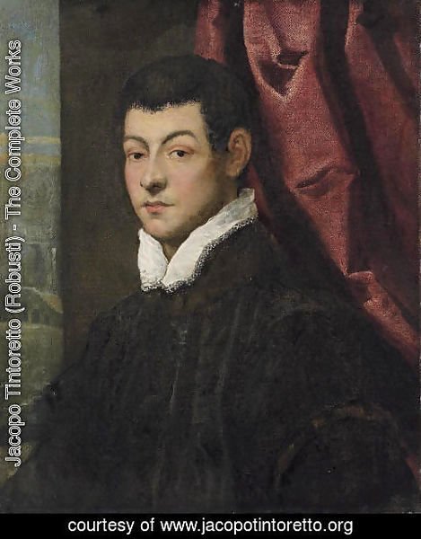 Jacopo Tintoretto (Robusti) - Portrait of a gentleman 3