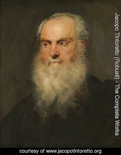 Jacopo Tintoretto (Robusti) - Portrait Of A An Elderly Bearded Man, Head And Shoulders