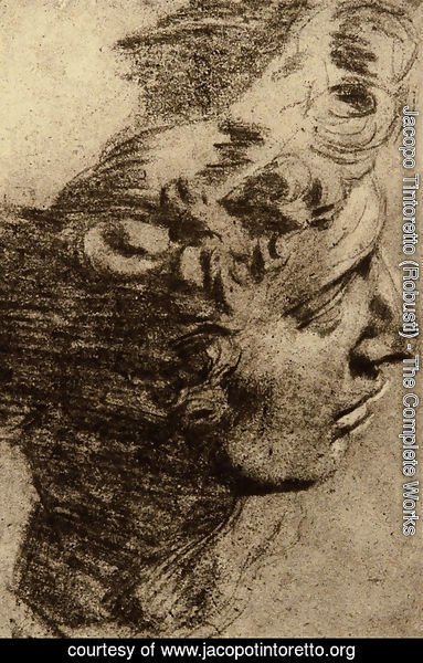 Jacopo Tintoretto (Robusti) - Unknown 7