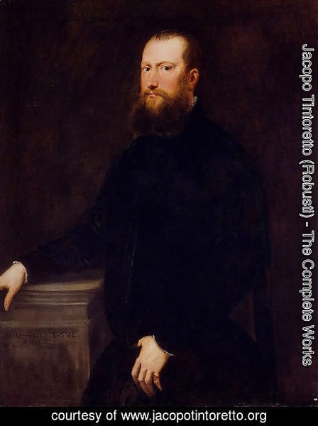 Jacopo Tintoretto (Robusti) - Portrait Of A Bearded Venetian Nobleman
