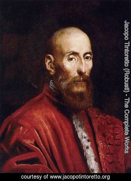Jacopo Tintoretto (Robusti) - Portrait of a Senator