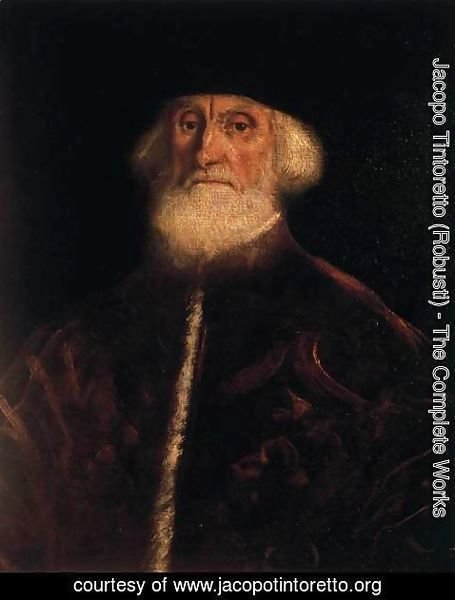 Jacopo Tintoretto (Robusti) - Portrait of Procurator Jacopo Soranzo 2