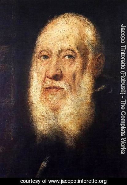 Jacopo Tintoretto (Robusti) - Portrait of Jacopo Sansovino 3