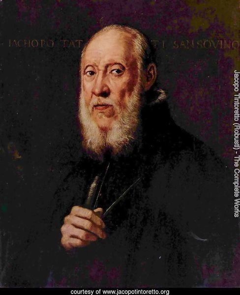 Portrait of Jacopo Sansovino 4