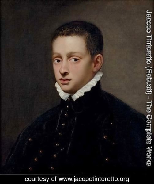 Jacopo Tintoretto (Robusti) - Portrait of a boy