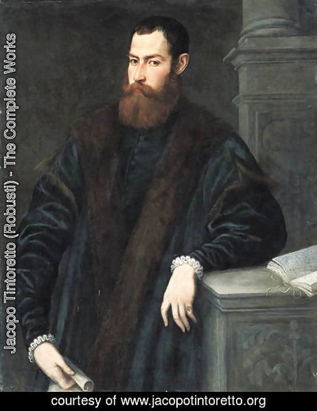 Jacopo Tintoretto (Robusti) - Portrait of a gentleman 2