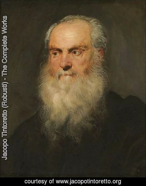 Portrait Of A An Elderly Bearded Man, Head And Shoulders