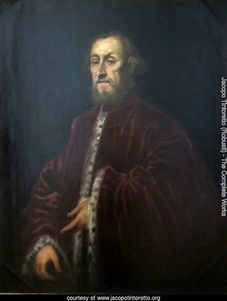 Portrait of a Venetian senator 2