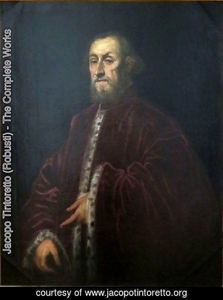 Jacopo Tintoretto (Robusti) - Portrait of a Venetian senator 2
