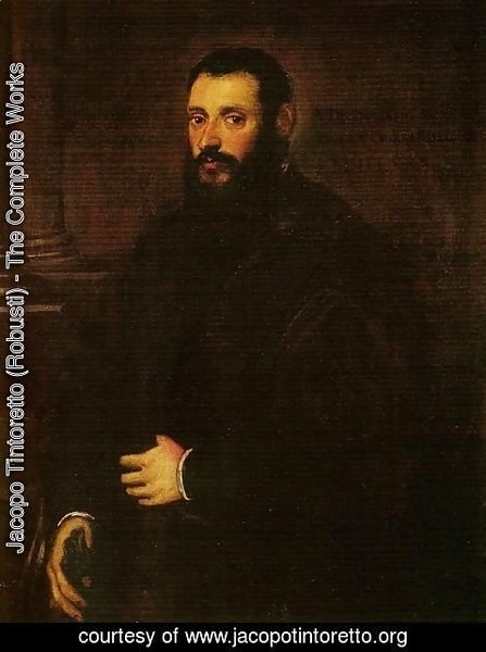 Jacopo Tintoretto (Robusti) - Portrait of Nicolaus Padavinus